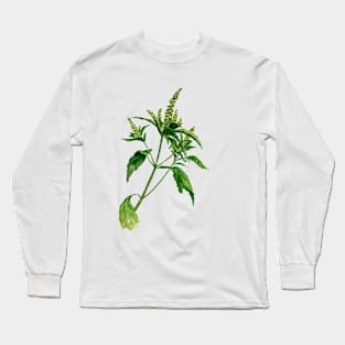 December 5th birthday flower Long Sleeve T-Shirt